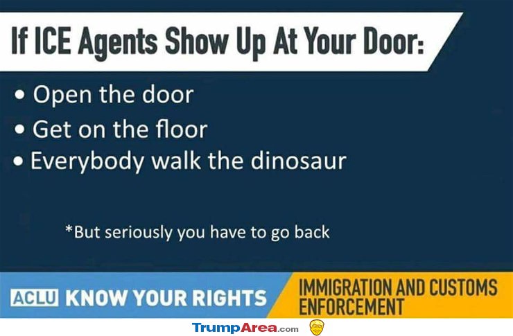 Ice Agents Come To Your Door