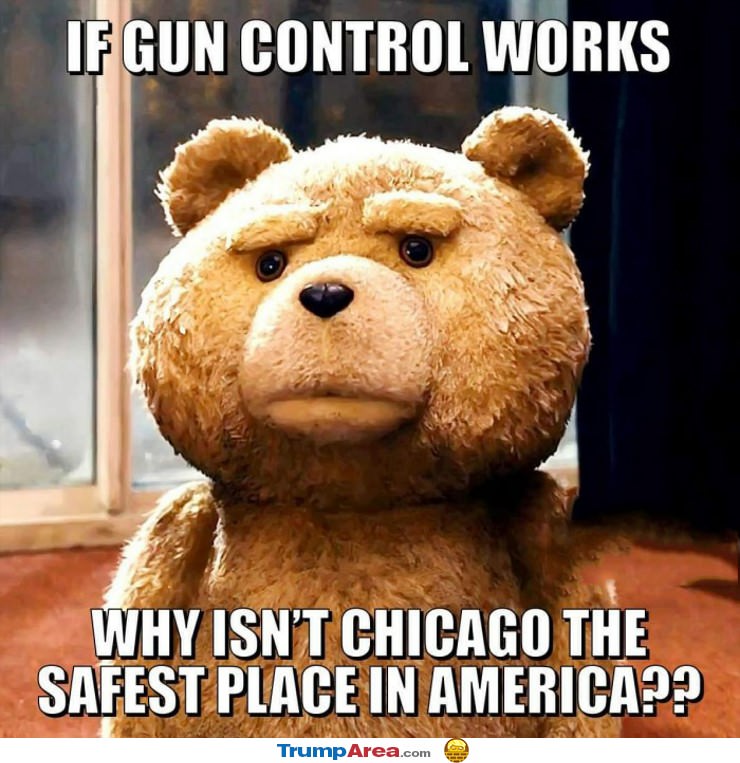 If Gun Control Works