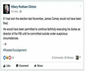 If I Had Won The Election