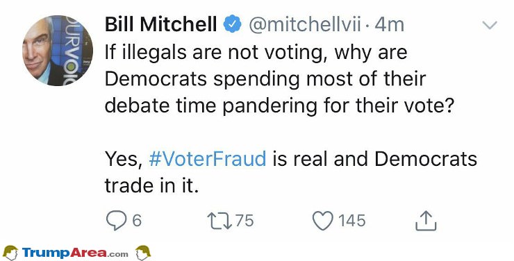 If Illegals Arent Voting