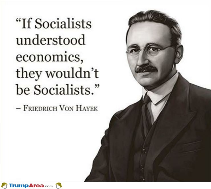 If Socialists Understood