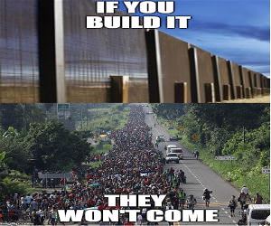 If You Build It