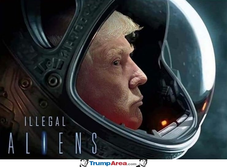 Illegal Aliens