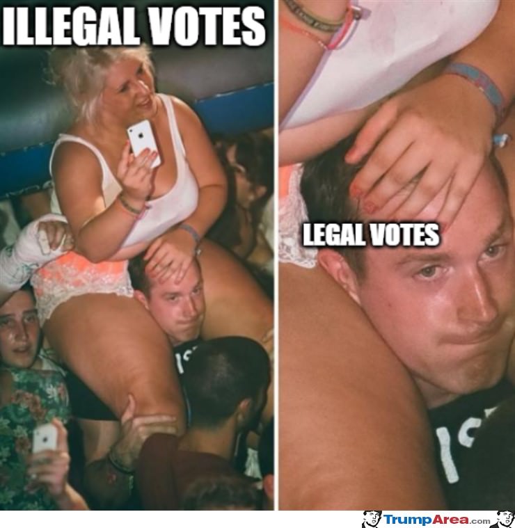 Illegal Votes