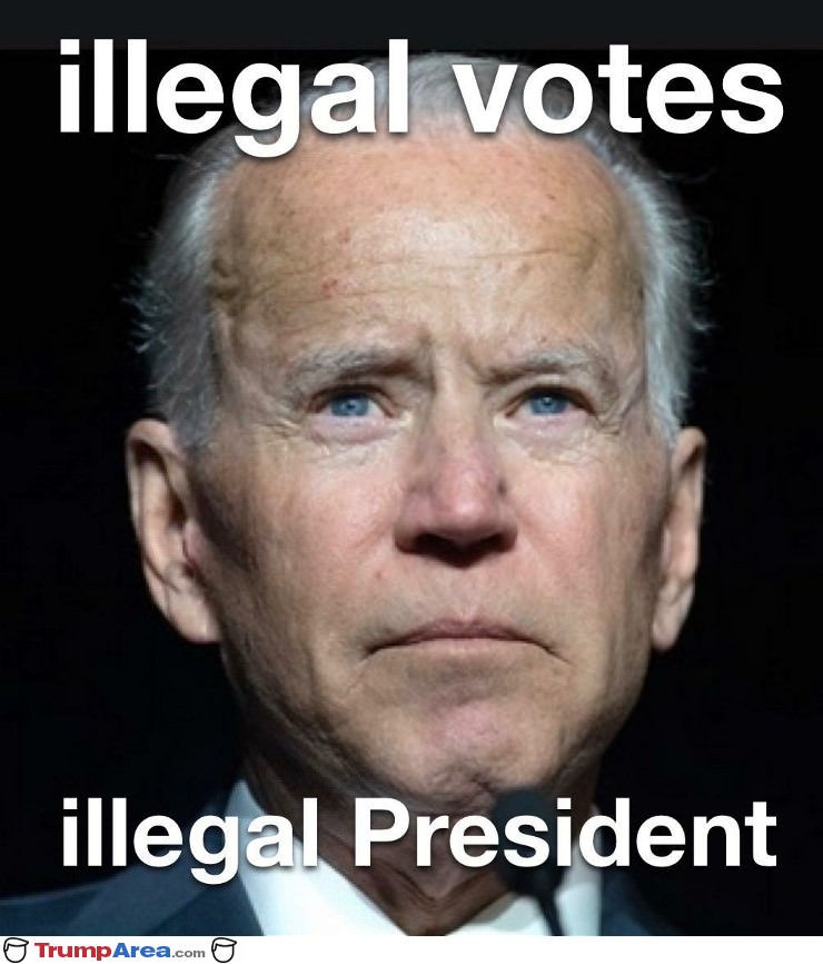 Illegal Votes