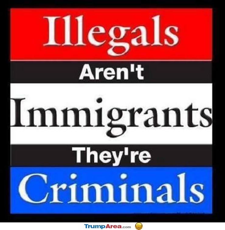 Illegals