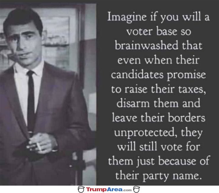 Imagine If You Will