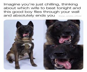 Imagine