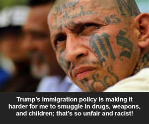 Immigration Policy