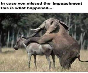 In Case You Missed It