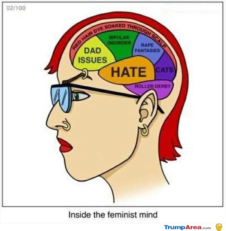 Inside The Feminist Mind