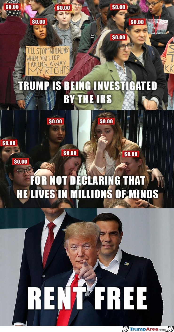 Investigation