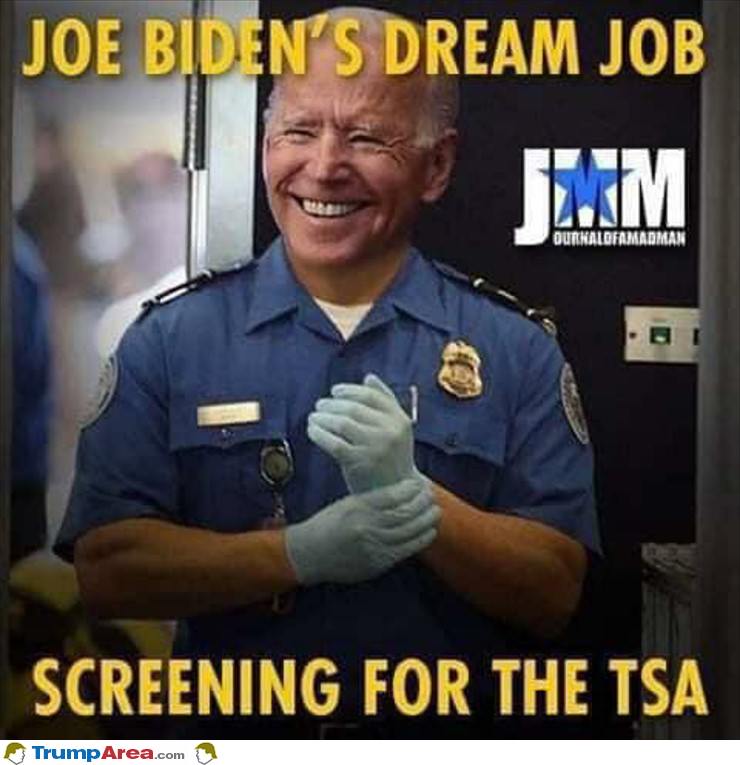 Joe Bidens Dream Job