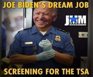 Joe Bidens Dream Job