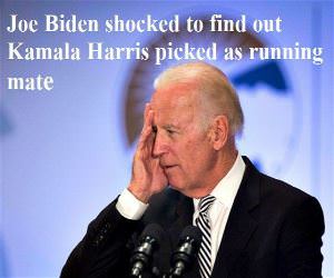 Joe Shocked