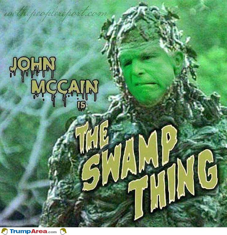 John Mccain Is