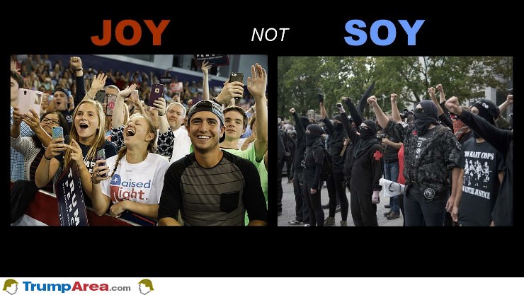 Joy Not Soy