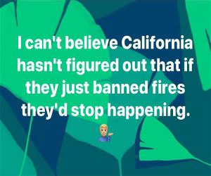 Jsut Ban The Fires