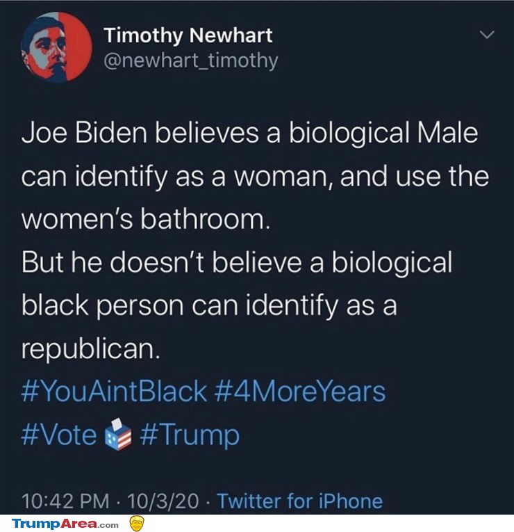 Just Biden Things