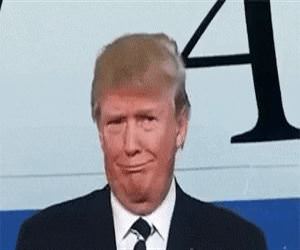 Just Making America Great Again