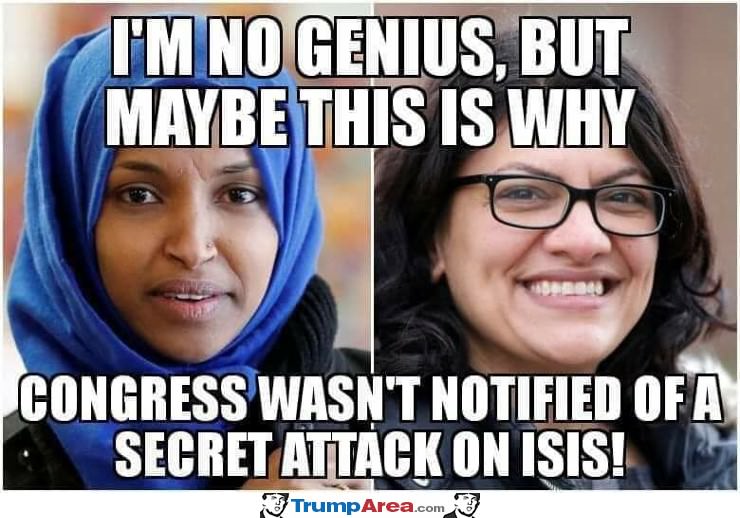 Just Sayin