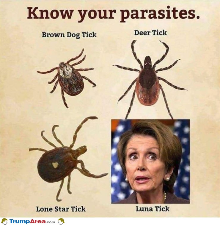 Know Your Parasites