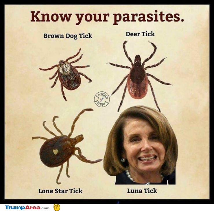Know Your Parasites