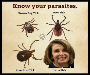 Know Your Parasites