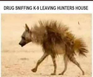 Leaving