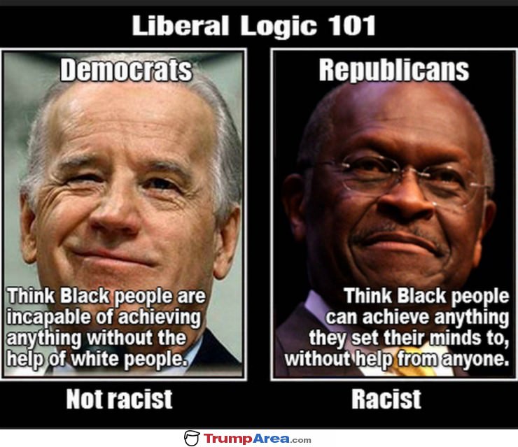 Lib Logic