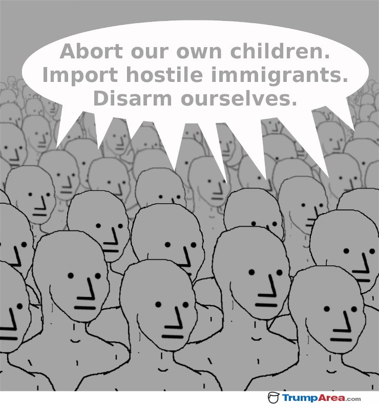 liberal NPC