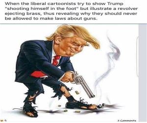 Liberal Cartoonist