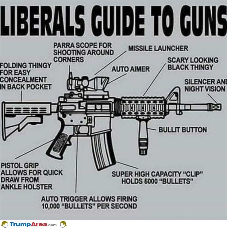 Liberal Guide To Guns