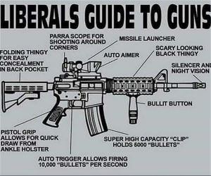 Liberal Guide To Guns