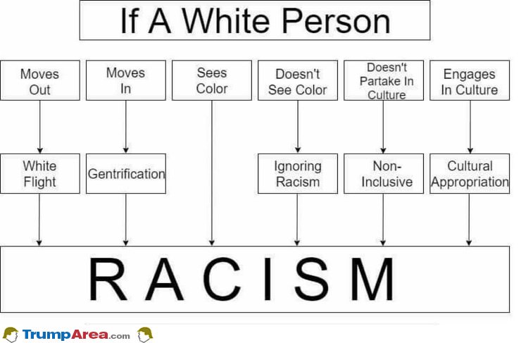 Liberal Logic On Racism