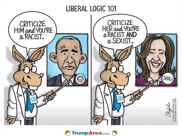 Liberal Logic