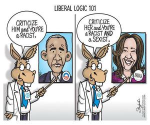 Liberal Logic
