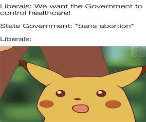 Liberals Are Not Smart