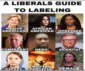 Liberals Guide