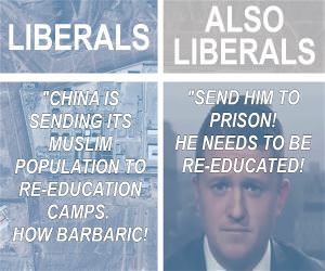 Liberals Have Lost Their Minds