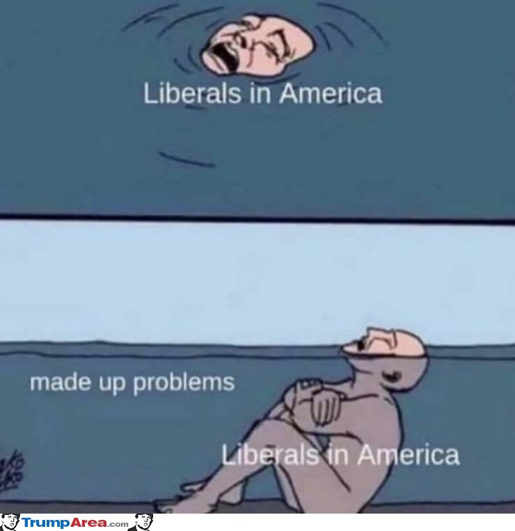 Liberals In America