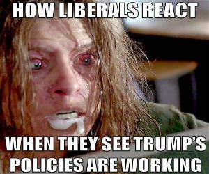 Liberals Reaction