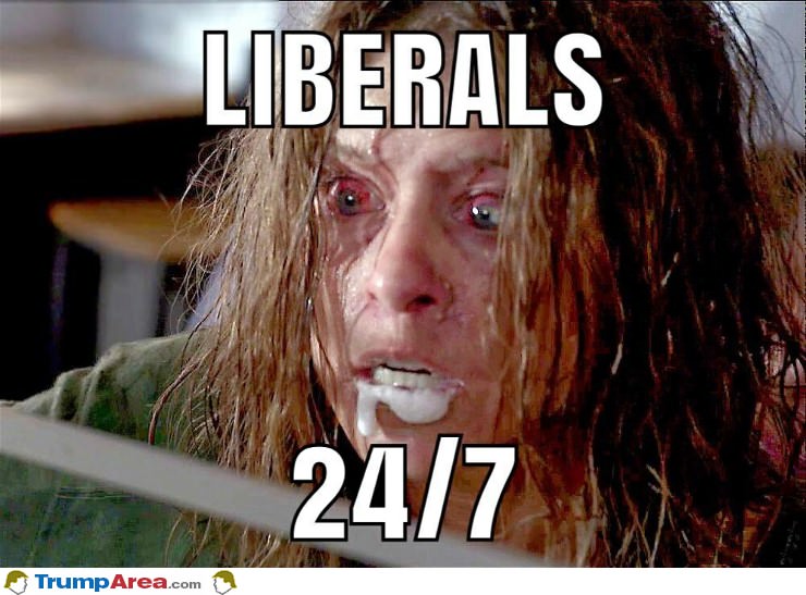 Liberals Since Last November
