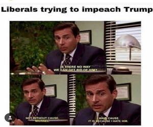 Liberals Trying To Impeach Trump