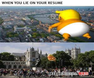 Lie On Your Resume