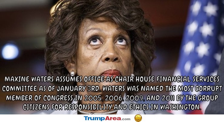 Mad Maxine