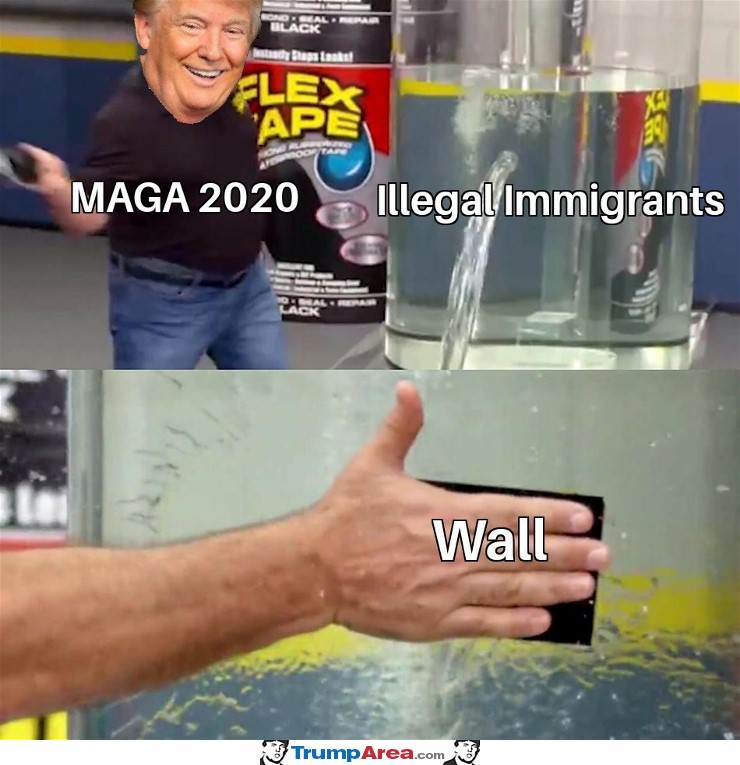 Maga 2020