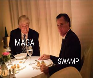 Maga And The Swamp