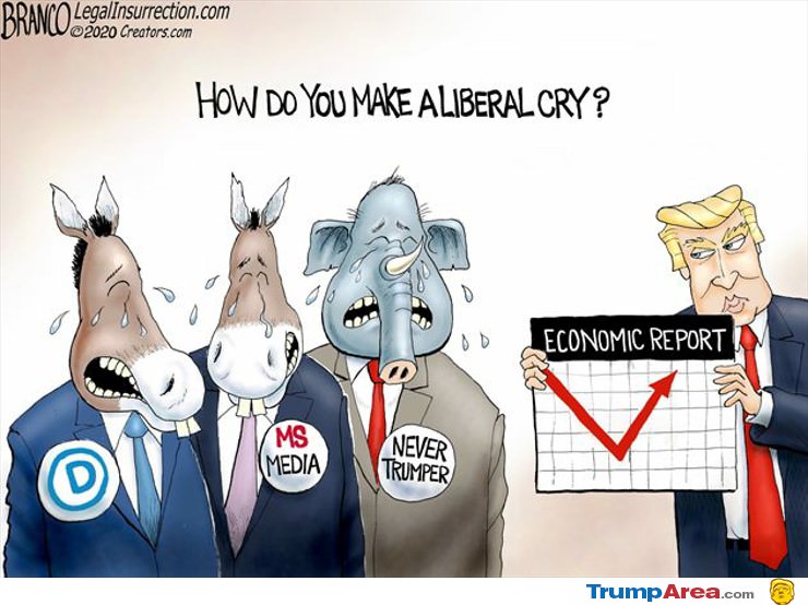 Make Liberals Cry