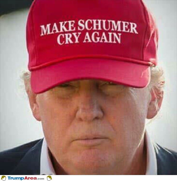 Make Schumer Cry Again